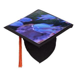 Tropical Blue Fish Graduation Cap Topper