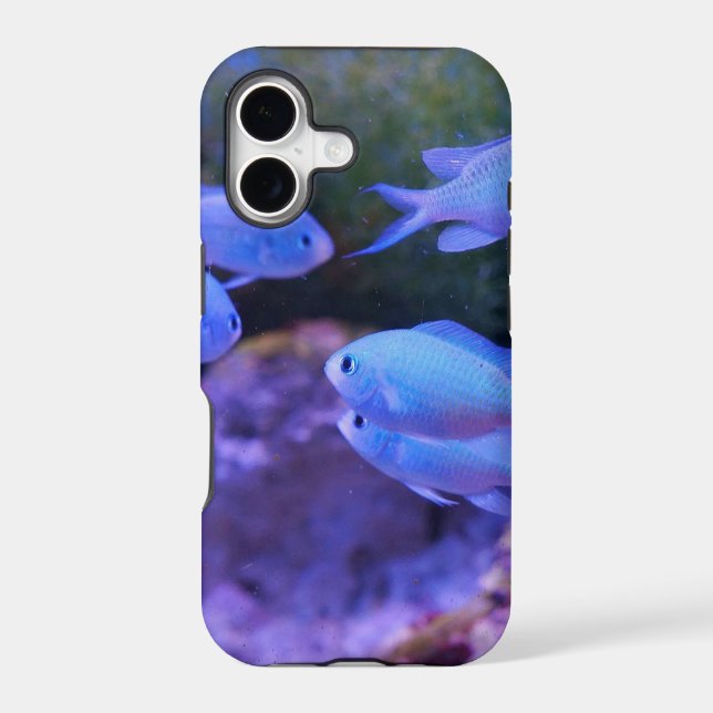 Tropical Blue Fish  Iphone Case (Back)