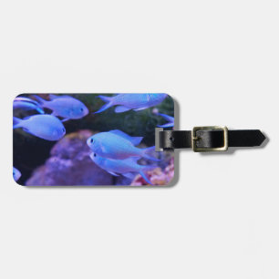 Tropical Blue Fish  Luggage Tag