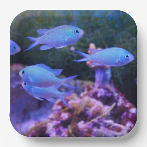 Tropical Blue Fish Paper plates