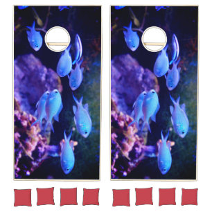 Tropical Blue Fish Regulation Cornhole Set