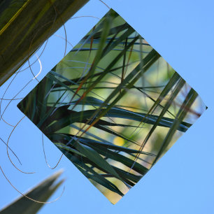 Tropical Blue Green Palm Fronds Bandana