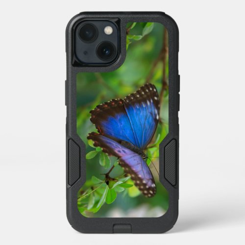 Tropical Blue Purple Butterfly iPhone 13 Case