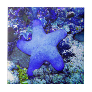 Tropical Blue Starfish Resting On Undersea Coral Ceramic Tile