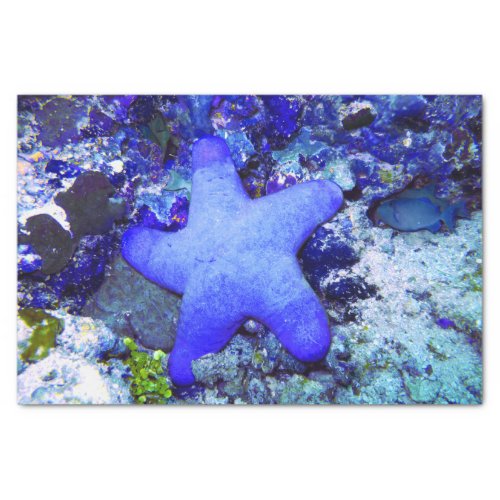 Tropical Blue Starfish Resting On Undersea Coral Tissue Paper