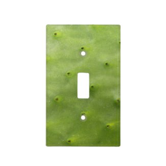 Tropical Botanical Green Cactus Photo