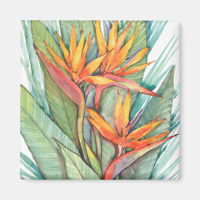 Tropical Botanical Paradise II Magnet (Front)