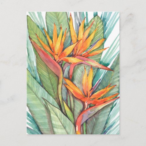 Tropical Botanical Paradise II Postcard