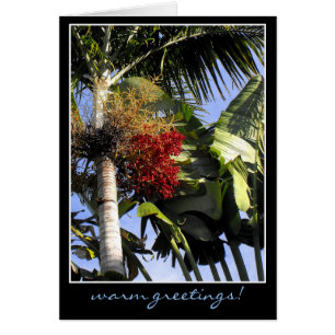 Tropical Breeze Cards
