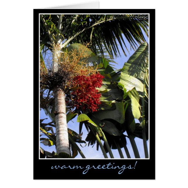 Tropical Breeze Cards (Front)