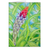 Tropical Bromeliad (Front)