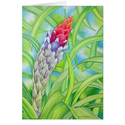 Tropical Bromeliad (Front)