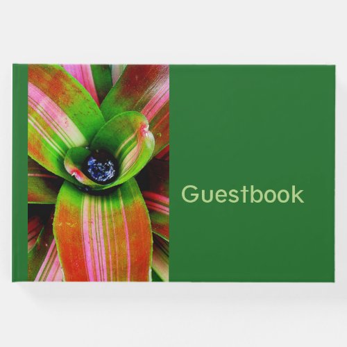 Tropical bromeliad foliage guest book