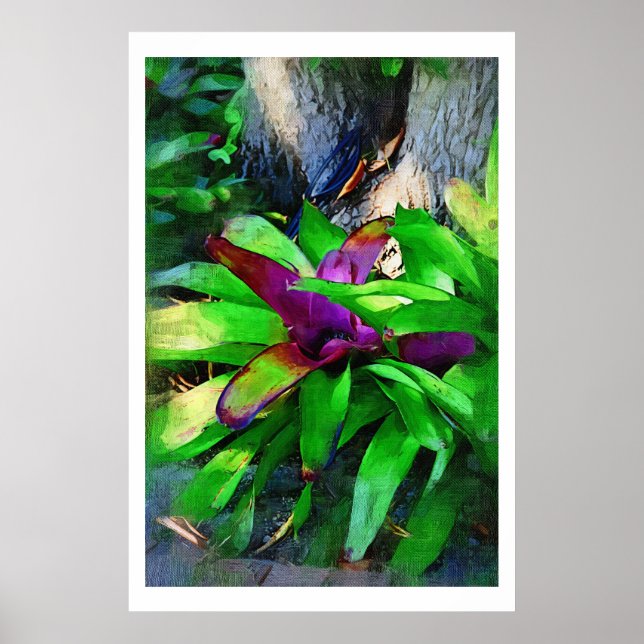 Tropical Bromeliad Poster (Front)