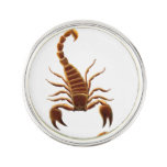 Tropical Brown Scorpion Lapel Pin