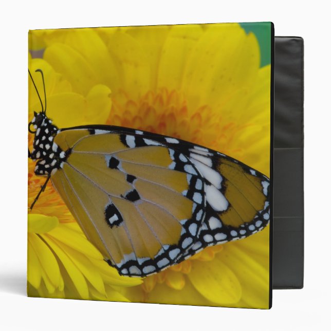 Tropical Butterflies 3 Ring Binder (Front/Inside)