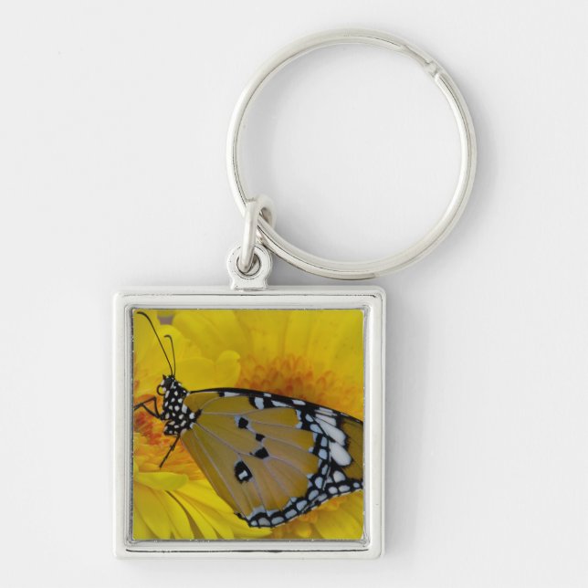 Tropical Butterflies Keychain (Front)