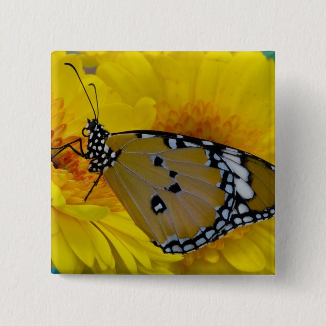 Tropical Butterflies Pinback Button (Front)