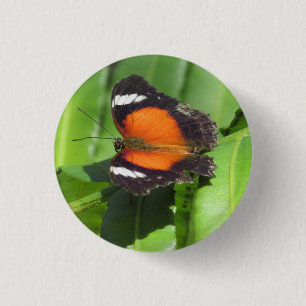 Tropical Butterfly Badge Button