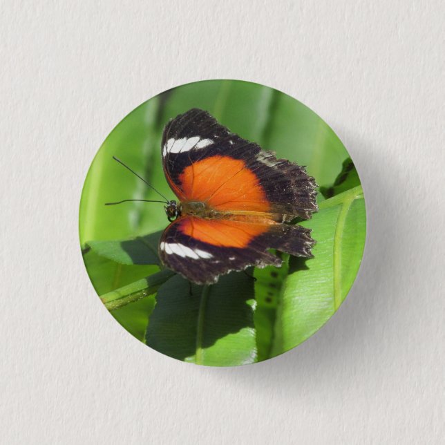 Tropical Butterfly Badge Button (Front)