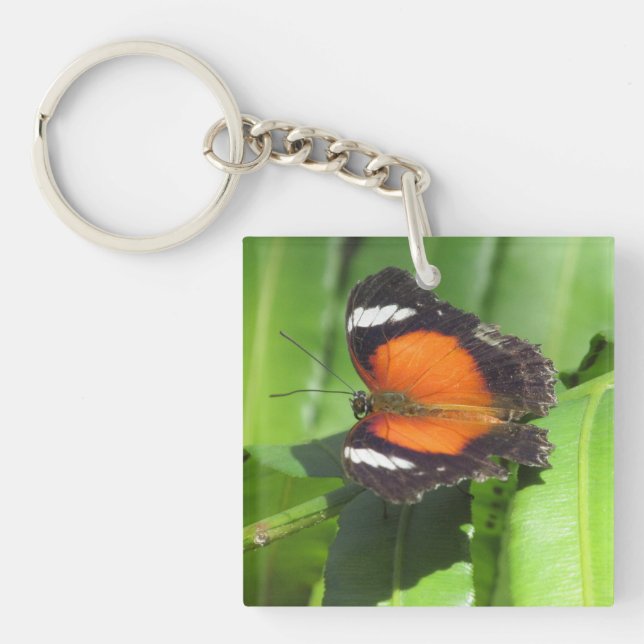 Tropical Butterfly Keychain (Front)