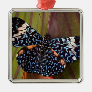 Tropical Butterfly Metal Ornament
