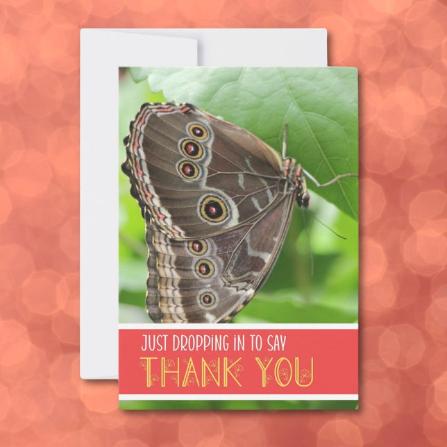 Tropical Butterfly on Leaf Nature Photography Flat Thank You Card (Creator Uploaded)