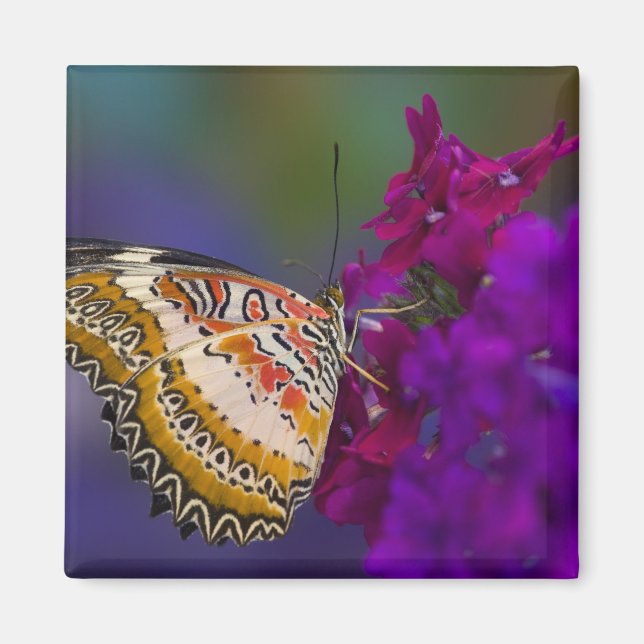Tropical Butterfly on Purple Flowers Magnet (Front)