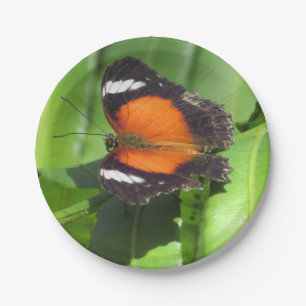 Tropical Butterfly Paper Plates
