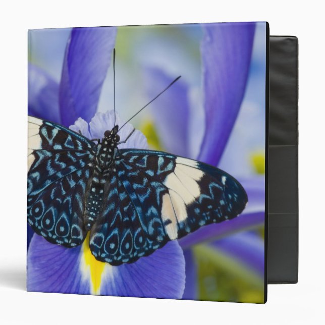 Tropical Butterfly Purple Iris Binder (Front/Inside)