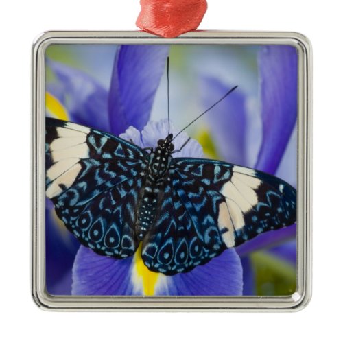 Tropical Butterfly Purple Iris Metal Ornament
