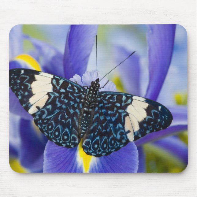 Tropical Butterfly Purple Iris Mouse Pad (Front)