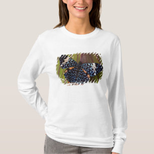 Tropical Butterfly T-Shirt