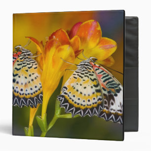 Tropical Butterfly Twins Binder