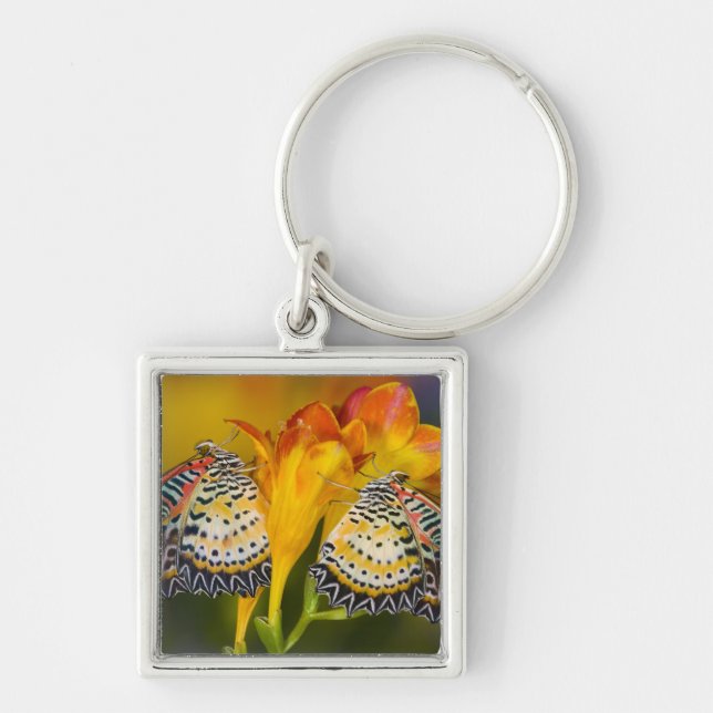 Tropical Butterfly Twins Keychain (Front)
