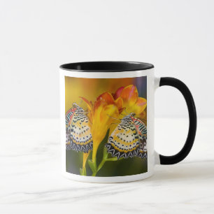 Tropical Butterfly Twins Mug