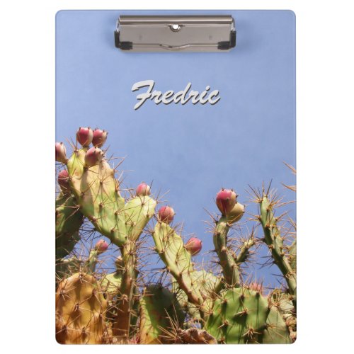 Tropical Cactus against Blue Skies any Text Clipboard