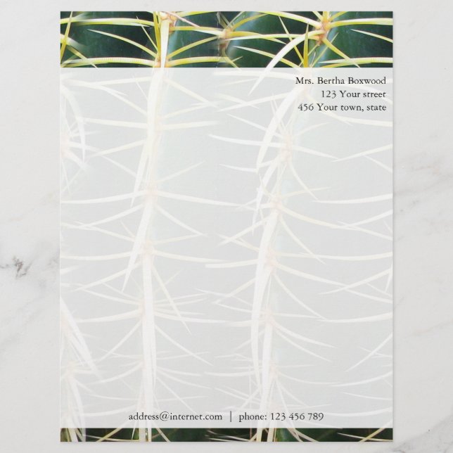Tropical Cactus Photo Custom Address Letterhead (Front)