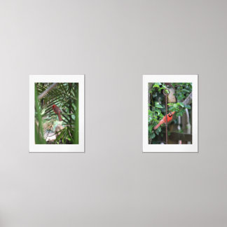 Tropical Cardinal in the palms Wall Art Sets