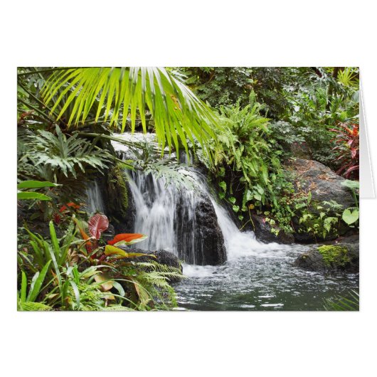 Tropical Cards (Front Horizontal)
