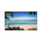 Tropical Caribbean Beach island view Business Card