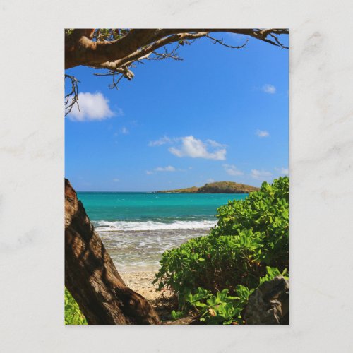Tropical Caribbean Beach Postcard