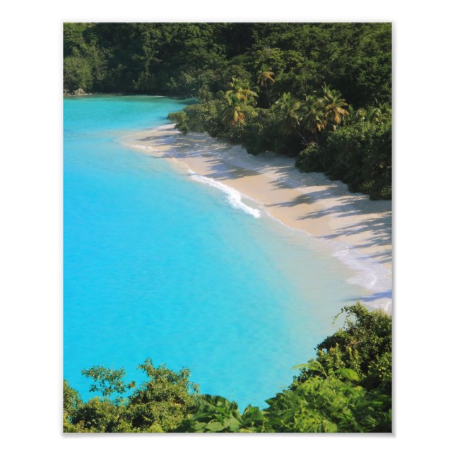 Tropical Caribbean Island Beach Photo Print (Front)