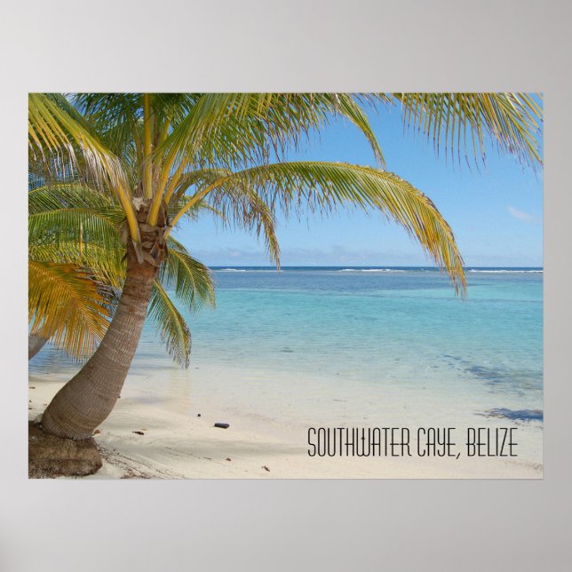 Tropical Caribbean Island Belize Beach and Palms Poster (Front)