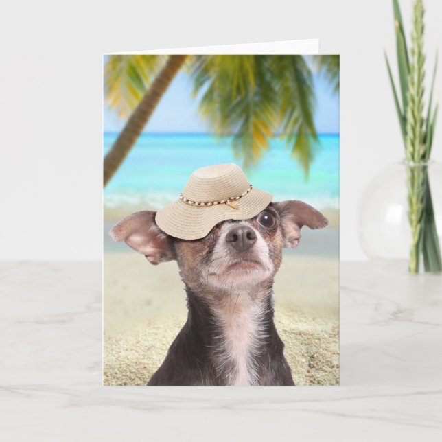 Tropical chihuahua on vacation card (Front)
