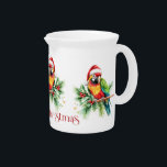 Tropical Christmas Bird Retro Merry Christmas Beverage Pitcher<br><div class="desc">This tropical theme Christmas pitcher design features a tropical bird with a Santa hat holiday greenery and red retro Merry Christmas typography.
Get cozy this holiday season with this mug full of your favorite beverage.</div>