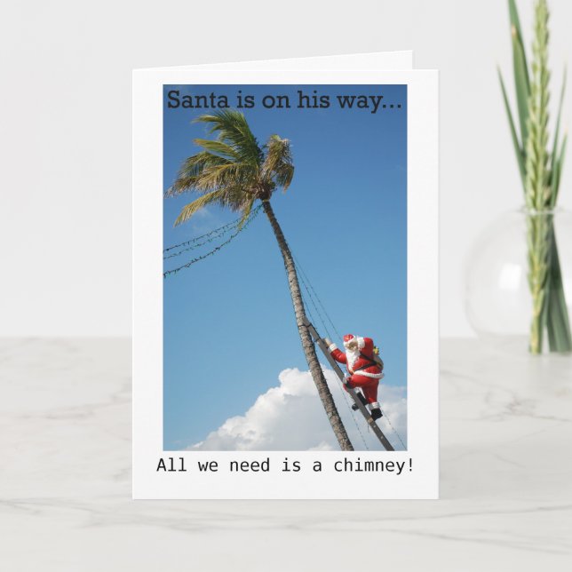 Tropical Christmas Card, Santa Climbing Palm Tree Holiday Card (Front)