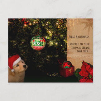 Tropical Christmas Dreams (customizable) Holiday Postcard