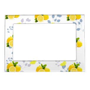 Tropical Citrus summer fresh Orange lemon Slice Magnetic Frame