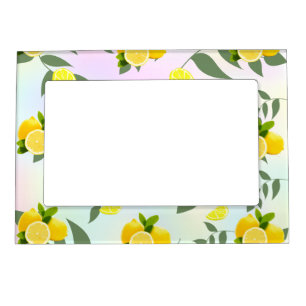 Tropical Citrus summer fresh Orange lemon Slice Magnetic Frame